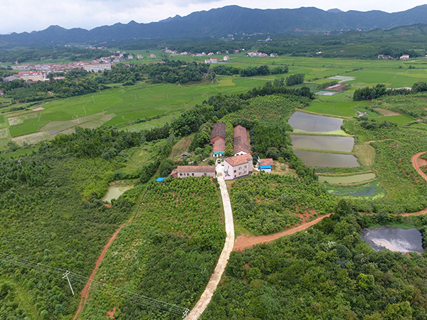 合作社基地航拍