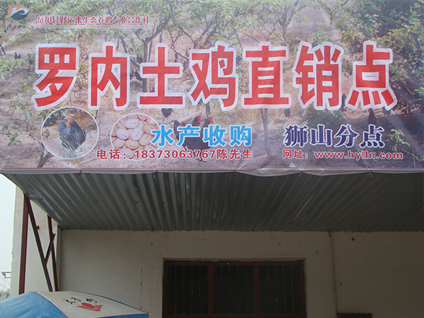 罗内土鸡专卖店