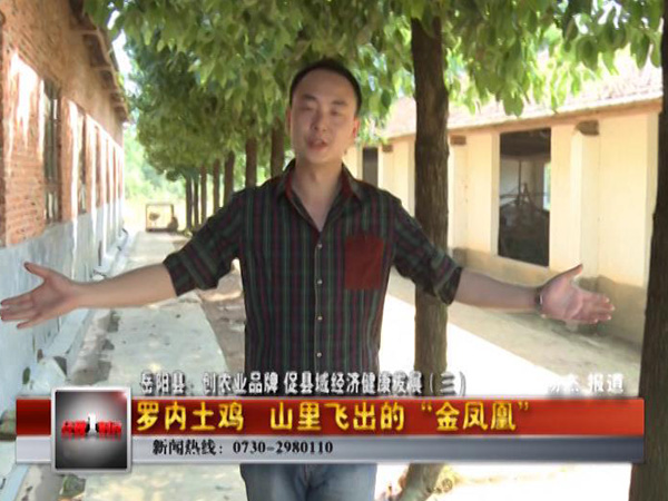 岳阳经视一时间-罗内土鸡广告