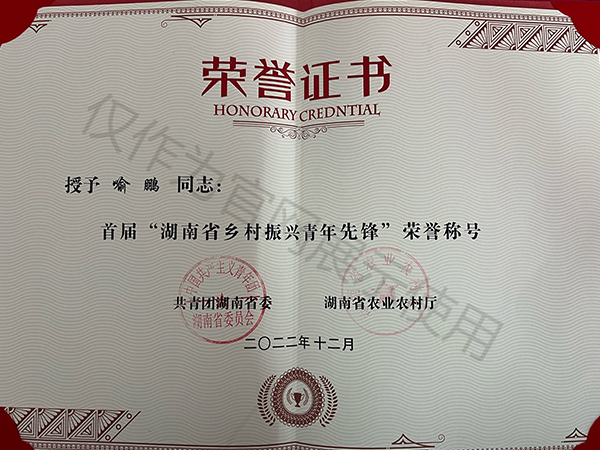 荣誉证书