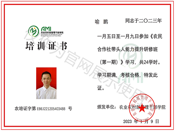 培训证书